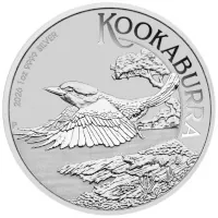 Kookaburra