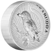 Kookaburra