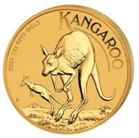 Känguru in GOLD