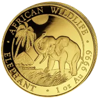 Elefant in GOLD