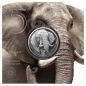 Preview: 5 Rand | 1 Unze Silbermünze Südafrika 2021 | Serie: Big Five II - Motiv: Elefant | 1. Ausgabe