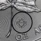 Preview: 500 x 1 Unze Silbermünze Kanada 2022 - Maple Leaf in der MasterBox