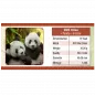 Preview: 30 Gramm Silbermünze China 2023 - Panda in Farbe | Variante 1