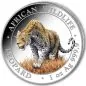 Preview: 1 Unze Silbermünze Somalia 2023 | Serie: African Wildlife - Motiv: Leopard in Farbe