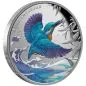 Preview: 1 Unze Silbermünze Niue 2023 Polierte Platte in Farbe | Motiv: Azurblauer Eisvogel - AZURE KINGFISHER