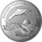 Preview: 1 Unze Silbermünze Australien 2023 | Serie: Dolphin - Motiv: Rough - Toothed Dolphin