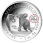 Preview: 1 Unze Silbermünze Somalia 2023 - Elefant | Privy Mark: ANA Pittsburgh - Motiv: Somalia Elefant 2024