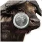 Preview: 5 Rand | 1 Unze Silbermünze Südafrika 2023 | Serie: Big Five II - Motiv: Büffel | 5. Ausgabe