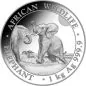 Preview: 1 Kilo Silbermünze Somalia 2024 - Elefant