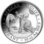 Preview: 10 Unze Silbermünze Somalia 2024 - Elefant