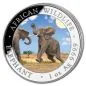 Preview: 1 Unze Silbermünze Somalia 2024 - Elefant in Farbe
