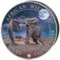 Preview: 1 Kilo Silbermünze Somalia 2024 - Elefant in Farbe | Giant Moon Edition