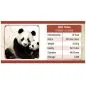 Preview: 30 Gramm Silbermünze China 2024 - Panda in Farbe | Variante 1