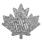 Mobile Preview: 500 x 1 Unze Silbermünze Kanada 2024 - Maple Leaf in der MasterBox