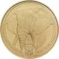Preview: 1 Unze Goldmünze Südafrika 2024 | Serie: Big Five - Motiv: Elefant