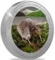 Preview: 1 Unze Silbermünze Neuseeland 2024 - Kiwi in Farbe und Polierte Platte