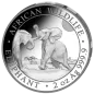 Preview: Somalia Silbermünzen Prestige SET in Polierte Platte von 2024 | Serie: African Wildlife - Motiv: Elefant | 4er Münz Set
