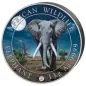 Preview: 1 Kilo Silbermünze Somalia 2025 - Elefant in Farbe | Giant Moon Edition