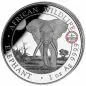 Preview: 1 Unze Silbermünze Somalia 2025 - Elefant | Privy Mark: World Money Fair Berlin