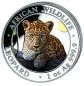 Preview: 1 Unze Silbermünze Somalia 2025 | Serie: African Wildlife - Motiv: Leopard in Farbe