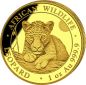 Preview: 1 Unze Goldmünze Somalia 2025 | Serie: African Wildlife - Motiv: Leopard