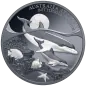 Preview: 1 Unze Silbermünze Niue 2025 Polierte Platte in Black Proof | Serie: Australien bei Nacht - Motiv: Delfin - Bottenlose Dolphin | 12. Ausgabe *