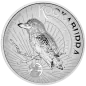 Preview: 5 Unze Silbermünze Australien 2025 - Kookaburra Incused in HIGH RELIEF und Polierte Platte
