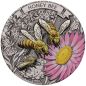 Preview: Silbermünze 2025 aus Australien mit farbigem Emu-Motiv im Antique Finish, 2 Unzen Feinsilber, Auslieferung in Etui mit Zertifikat, limitierte Auflage von 2.000 Stück.