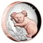 Preview: „5 Unzen Silbermünze Australien 2025 der Perth Mint, hoch reliefierter Koala mit Roségold-Akzenten, glänzende Polierte Platte, Lieferung in Präsentationsetui mit nummeriertem Zertifikat.“