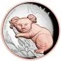 Preview: „5 Unzen Silbermünze Australien 2025 der Perth Mint, hoch reliefierter Koala mit Roségold-Akzenten, glänzende Polierte Platte, Lieferung in Präsentationsetui mit nummeriertem Zertifikat.“
