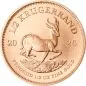 Preview: 1/2 Unze Goldmünze Südafrika 2026 Krügerrand, Vorderseite mit Porträt von Paul Kruger, Rückseite mit springendem Nashorn, geprägt von der South African Mint, beliebte Investment-Goldmünze