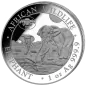 Preview: „1 Unze Silbermünze Somalia 2026 Elefant mit Botanical Garden Privy Mark zur World Money Fair Berlin, geprägt in 999,9 Feinsilber, geliefert im Münzetui mit Zertifikat.“