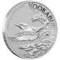 Preview: 1/10 Unze Platinmünze Australien 2026 Kookaburra aus 999,5 Platin, Motiv mit australischem Eisvogel, Wertseite mit Porträt von König Charles III.