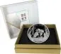 Preview: 150 Gramm Silbermünze China 2026 Panda in Polierter Platte mit irisierender Farbveredelung, Sammlermünze in Box mit Zertifikat, detailreiches Panda-Motiv