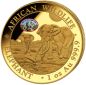 Preview: Unze Goldmünze Somalia 2026 Elefant mit Botanical Garden Privy Mark zur World Money Fair Berlin, geprägt in 999,9 Feingold, geliefert im Etui mit durchnummeriertem Zertifikat.