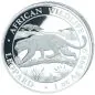 Preview: 1 Unze Silbermünze Somalia 2026 aus der Serie African Wildlife mit dem Motiv eines Leoparden, der über einen Baumstamm schreitet. Im Hintergrund sind eine afrikanische Savannenlandschaft und Akazienbäume zu sehen. Auf der Münze stehen die Angaben African