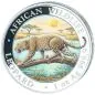 Preview: 1 Unze Silbermünze Somalia 2026 aus der Serie African Wildlife mit farbig gestaltetem Leopardenmotiv. Der Leopard schreitet über einen Baumstamm. Die Münze trägt die Aufschriften African Wildlife, Leopard und 1 oz Ag 999.9. Auf der gegenüberliegenden Seit