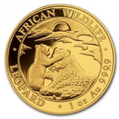 1 Unze Goldmünze Somalia 2019 | Serie: African Wildlife - Motiv: Leopard