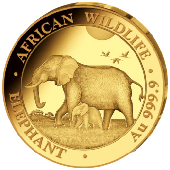 1/2 Unze Goldmünze Somalia 2022 - Elefant