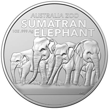 1 Unze Silbermünze Australien 2022 | Serie: Australia Zoo - Motiv: Elefant