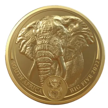1 Unze Goldmünze Südafrika 2022 | Serie: Big Five - Motiv: Elefant | 1. Ausgabe von 5