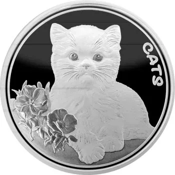 1 Unze Silbermünze Fiji 2022 in Prooflike - Serie: Cats / Katze | 2. Ausgabe