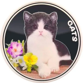 1 Unze Silbermünze Fiji 2022 Prooflike - Serie: Cats / Katze in Farbe | 2. Ausgabe