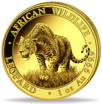 1 Unze Goldmünze Somalia 2023 | Serie: African Wildlife - Motiv: Leopard