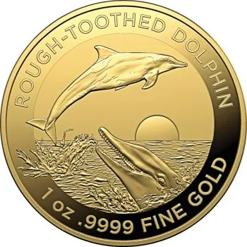 1 Unze Goldmünze Australien 2023 | Serie: Dolphin - Motiv: Rough - Toothed Dolphin