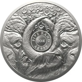 5 Rand | 1 Unze Silbermünze Südafrika 2023 | Serie: Big Five II - Motiv: Büffel | 5. Ausgabe
