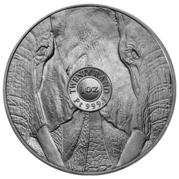 1 Unze Platinmünze Südafrika 2023 | Serie: Big Five - Motiv: Elefant | 1. Ausgabe von 5