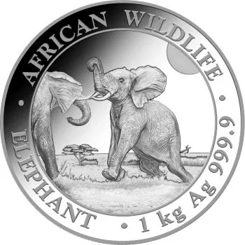1 Kilo Silbermünze Somalia 2024 - Elefant