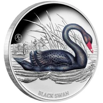1 Unze Silbermünze Niue 2024 Polierte Platte in Farbe | Motiv: BLACK SWAN - Privy Mark John Gould `s