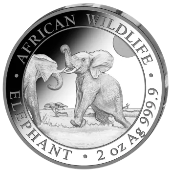 Somalia Silbermünzen Prestige SET in Polierte Platte von 2024 | Serie: African Wildlife - Motiv: Elefant | 4er Münz Set